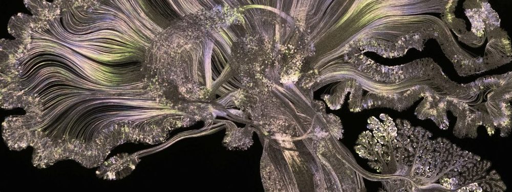 Dopamina tecnofeudal